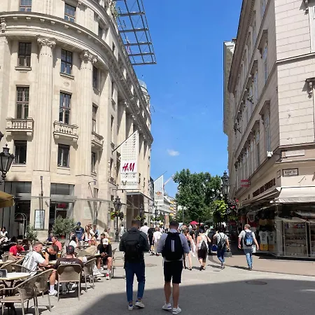 Junior Orange Next To Danube