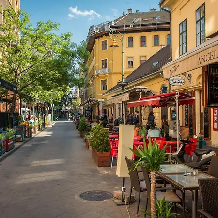 Junior Orange Next To Danube *