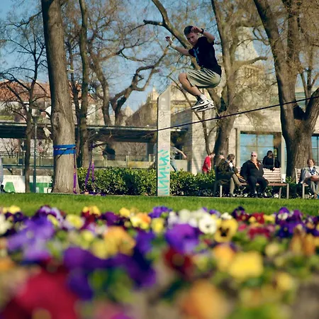 Junior Orange Next To Danube