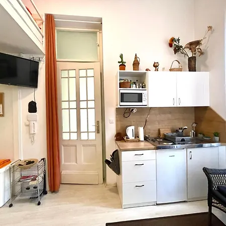 Junior Orange Next To Danube