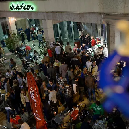 Junior Orange Next To Danube *