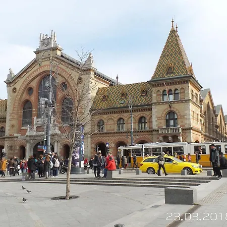 Junior Orange Next To Danube