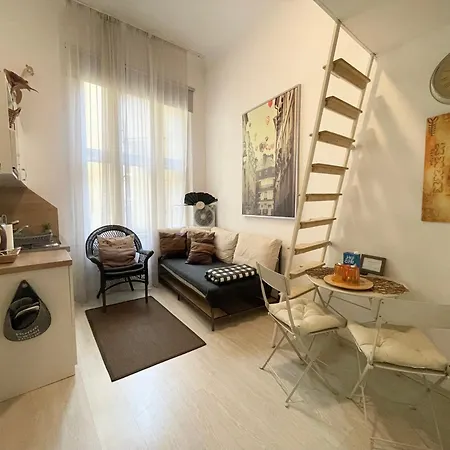 Junior Orange Next To Danube *