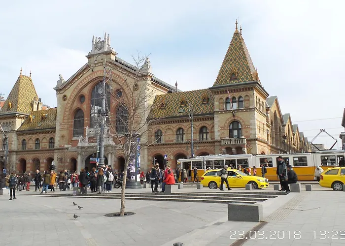 Junior Orange Next To Danube